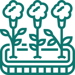 flower 1